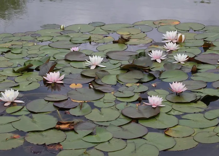 Ottenskamp4 * Siebengewald