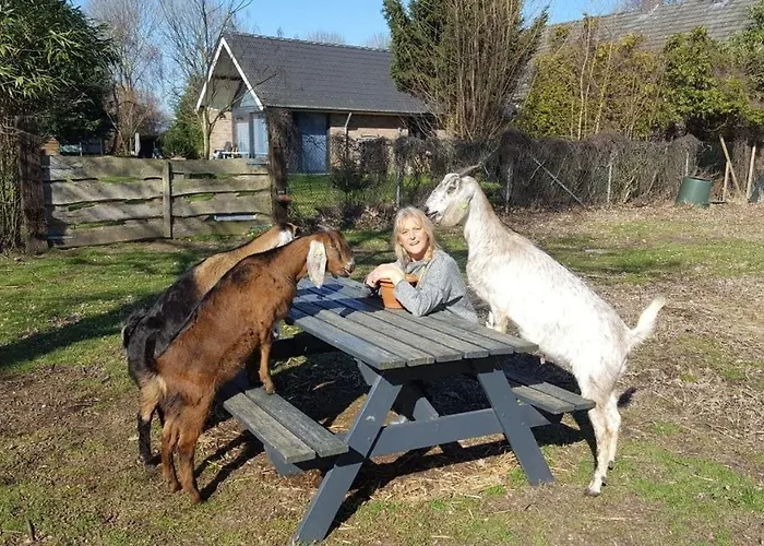 Ottenskamp4 Siebengewald