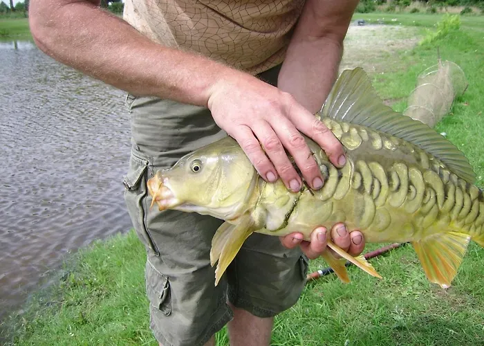 Apartman Ottenskamp4 Siebengewald