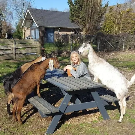 Ottenskamp4 Siebengewald