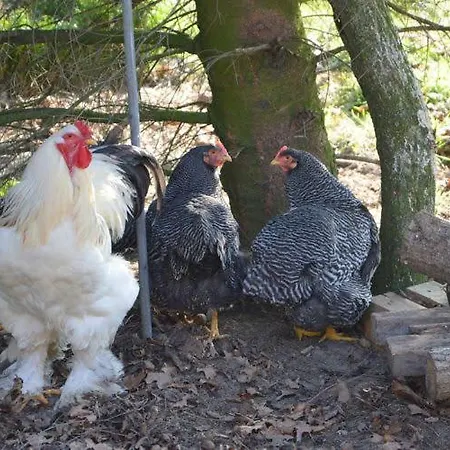 Ottenskamp4 * Siebengewald